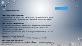Articulación esternoclavicular
Une el esternón con ambas clavículas y permite los movimientos del hombro.
Presenta un pequeño menisco articular y ligamentos esternoclaviculares y
costoclaviculares.
Articulaciones esternocostales
Articulaciones tipo sinoviales, excepto en la primera articulación entre la
primera costilla y el manubrio del esternón que es fibrocartilaginosa.
Articulaciones intercondrales
Articulaciones tipo sinoviales entre los cartílagos costales de la 7, 8, 9 y 10
costillas.
Articulación manubrioesternal
Articulación tipo sínfisis entre el manubrio y el cuerpo del esternón.
Articulación xifoideoesternal
Articulación tipo sínfisis entre la apófisis xifoides y el cuerpo del esternón.
Movimientosesternoclaviculares
Índice
3/29/2023
machacacayoerick@gmail.com 6
 