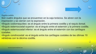 Ángulos costales
Son cuatro ángulos que se encuentran en la caja torácica. Se abren con la
inspiración y se cierran con la espiración.
•Ángulo costorraquídeo: es el ángulo entre la primera costilla y el raquis dorsal.
•Ángulo esternocostal superior: es el ángulo entre el esternón y la primera costilla.
•Ángulo esternocostal inferior: es el ángulo entre el esternón con los cartílagos
costales.
•Ángulo condrocostal: es el ángulo entre los cartílagos costales de las últimas 10
vértebras con la décima costilla.
Índice
3/29/2023
machacacayoerick@gmail.com 7
 