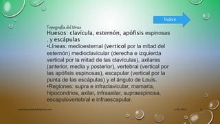Topografía del tórax
Huesos: clavícula, esternón, apófisis espinosas
, y escápulas
•Líneas: medioesternal (verticol por la mitad del
esternón) medioclavicular (derecha e izquierda
vertical por la mitad de las clavículas), axilares
(anterior, media y posterior), vertebral (vertical por
las apófisis espinosas), escapular (vertical por la
punta de las escápulas) y el ángulo de Louis.4
•Regiones: supra e infraclavicular, mamaria,
hipocondrios, axilar, infraaxilar, supraespinosa,
escapulovertebral e infraescapular.
Índice
3/29/2023
machacacayoerick@gmail.com 8
 