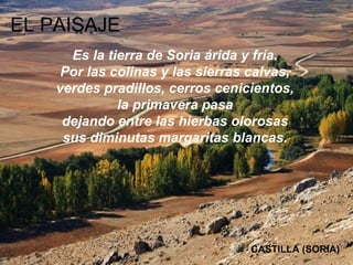 EL PAISAJE
      Es la tierra de Soria árida y fría.
     Por las colinas y las sierras calvas,
    verdes pradillos, cerros cenicientos,
              la primavera pasa
     dejando entre las hierbas olorosas
     sus diminutas margaritas blancas.




                                   CASTILLA (SORIA)
 