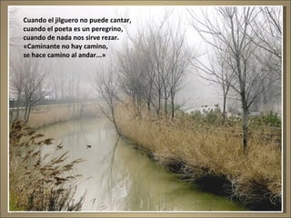Cuando el jilguero no puede cantar, cuando el poeta es un peregrino, cuando de nada nos sirve rezar. «Caminante no hay camino, se hace camino al andar...» 