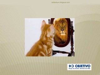 rafabebum.blogspot.com
 