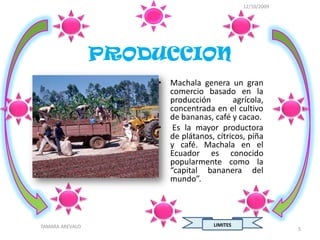 12/10/2009




                 PRODUCCION
                     • Machala genera un gran
                       comercio basado en la
                       producción        agrícola,
                       concentrada en el cultivo
                       de bananas, café y cacao.
                     • Es la mayor productora
                       de plátanos, cítricos, piña
                       y café. Machala en el
                       Ecuador es conocido
                       popularmente como la
                       “capital bananera del
                       mundo”.




TAMARA AREVALO                      LIMITES
                                                           5
 