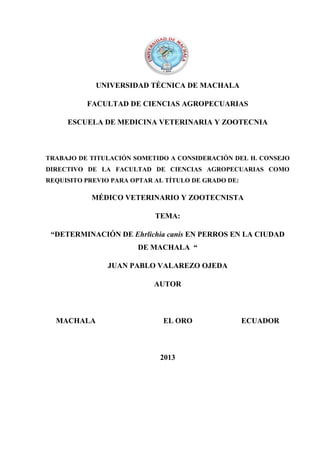 UNIVERSIDAD TÉCNICA DE MACHALA
FACULTAD DE CIENCIAS AGROPECUARIAS
ESCUELA DE MEDICINA VETERINARIA Y ZOOTECNIA
TRABAJO DE TITULACIÓN SOMETIDO A CONSIDERACIÓN DEL H. CONSEJO
DIRECTIVO DE LA FACULTAD DE CIENCIAS AGROPECUARIAS COMO
REQUISITO PREVIO PARA OPTAR AL TÍTULO DE GRADO DE:
MÉDICO VETERINARIO Y ZOOTECNISTA
TEMA:
“DETERMINACIÓN DE Ehrlichia canis EN PERROS EN LA CIUDAD
DE MACHALA “
JUAN PABLO VALAREZO OJEDA
AUTOR
MACHALA EL ORO ECUADOR
2013
 