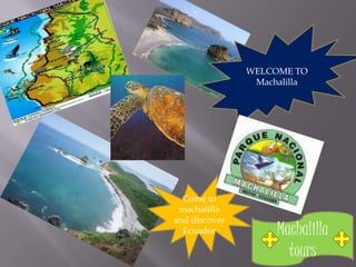 Machalilla
tours
WELCOME TO
Machalilla
Come to
machalilla
and discover
Ecuador
 