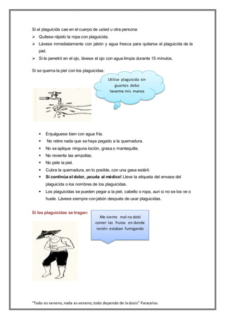 “Todo es veneno,nada es veneno,todo depende de la dosis” Paracelso.
Si el plaguicida cae en el cuerpo de usted u otra persona:
 Quítese rápido la ropa con plaguicida.
 Lávese inmediatamente con jabón y agua fresca para quitarse el plaguicida de la
piel.
 Si le penetró en el ojo, lávese el ojo con agua limpia durante 15 minutos.
Si se quema la piel con los plaguicidas:
 Enjuáguese bien con agua fría.
 No retire nada que se haya pegado a la quemadura.
 No se aplique ninguna loción, grasa o mantequilla.
 No reviente las ampollas.
 No pele la piel.
 Cubra la quemadura, en lo posible, con una gasa estéril.
 Si continúa el dolor, ¡acuda al médico! Lleve la etiqueta del envase del
plaguicida o los nombres de los plaguicidas.
 Los plaguicidas se pueden pegar a la piel, cabello o ropa, aun si no se los ve o
huele. Lávese siempre con jabón después de usar plaguicidas.
Si los plaguicidas se tragan:
Utilice plaguicida sin
guantes debo
lavarme mis manos
enseguida
Me siente mal no debí
comer las frutas en donde
recién estaban fumigando
 