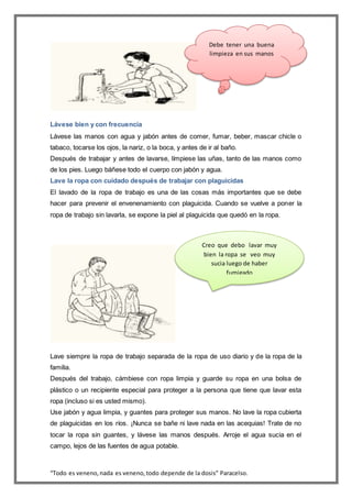“Todo es veneno,nada es veneno,todo depende de la dosis” Paracelso.
Lávese bien y con frecuencia
Lávese las manos con agua y jabón antes de comer, fumar, beber, mascar chicle o
tabaco, tocarse los ojos, la nariz, o la boca, y antes de ir al baño.
Después de trabajar y antes de lavarse, límpiese las uñas, tanto de las manos como
de los pies. Luego báñese todo el cuerpo con jabón y agua.
Lave la ropa con cuidado después de trabajar con plaguicidas
El lavado de la ropa de trabajo es una de las cosas más importantes que se debe
hacer para prevenir el envenenamiento con plaguicida. Cuando se vuelve a poner la
ropa de trabajo sin lavarla, se expone la piel al plaguicida que quedó en la ropa.
Lave siempre la ropa de trabajo separada de la ropa de uso diario y de la ropa de la
familia.
Después del trabajo, cámbiese con ropa limpia y guarde su ropa en una bolsa de
plástico o un recipiente especial para proteger a la persona que tiene que lavar esta
ropa (incluso si es usted mismo).
Use jabón y agua limpia, y guantes para proteger sus manos. No lave la ropa cubierta
de plaguicidas en los ríos. ¡Nunca se bañe ni lave nada en las acequias! Trate de no
tocar la ropa sin guantes, y lávese las manos después. Arroje el agua sucia en el
campo, lejos de las fuentes de agua potable.
Debe tener una buena
limpieza en sus manos
Creo que debo lavar muy
bien la ropa se veo muy
sucia luego de haber
fumigado
 