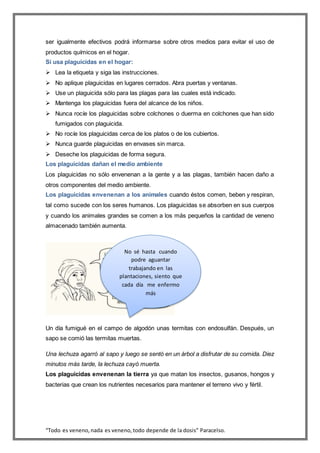 “Todo es veneno,nada es veneno,todo depende de la dosis” Paracelso.
ser igualmente efectivos podrá informarse sobre otros medios para evitar el uso de
productos químicos en el hogar.
Si usa plaguicidas en el hogar:
 Lea la etiqueta y siga las instrucciones.
 No aplique plaguicidas en lugares cerrados. Abra puertas y ventanas.
 Use un plaguicida sólo para las plagas para las cuales está indicado.
 Mantenga los plaguicidas fuera del alcance de los niños.
 Nunca rocíe los plaguicidas sobre colchones o duerma en colchones que han sido
fumigados con plaguicida.
 No rocíe los plaguicidas cerca de los platos o de los cubiertos.
 Nunca guarde plaguicidas en envases sin marca.
 Deseche los plaguicidas de forma segura.
Los plaguicidas dañan el medio ambiente
Los plaguicidas no sólo envenenan a la gente y a las plagas, también hacen daño a
otros componentes del medio ambiente.
Los plaguicidas envenenan a los animales cuando éstos comen, beben y respiran,
tal como sucede con los seres humanos. Los plaguicidas se absorben en sus cuerpos
y cuando los animales grandes se comen a los más pequeños la cantidad de veneno
almacenado también aumenta.
Un día fumigué en el campo de algodón unas termitas con endosulfán. Después, un
sapo se comió las termitas muertas.
Una lechuza agarró al sapo y luego se sentó en un árbol a disfrutar de su comida. Diez
minutos más tarde, la lechuza cayó muerta.
Los plaguicidas envenenan la tierra ya que matan los insectos, gusanos, hongos y
bacterias que crean los nutrientes necesarios para mantener el terreno vivo y fértil.
No sé hasta cuando
podre aguantar
trabajando en las
plantaciones, siento que
cada día me enfermo
más
 