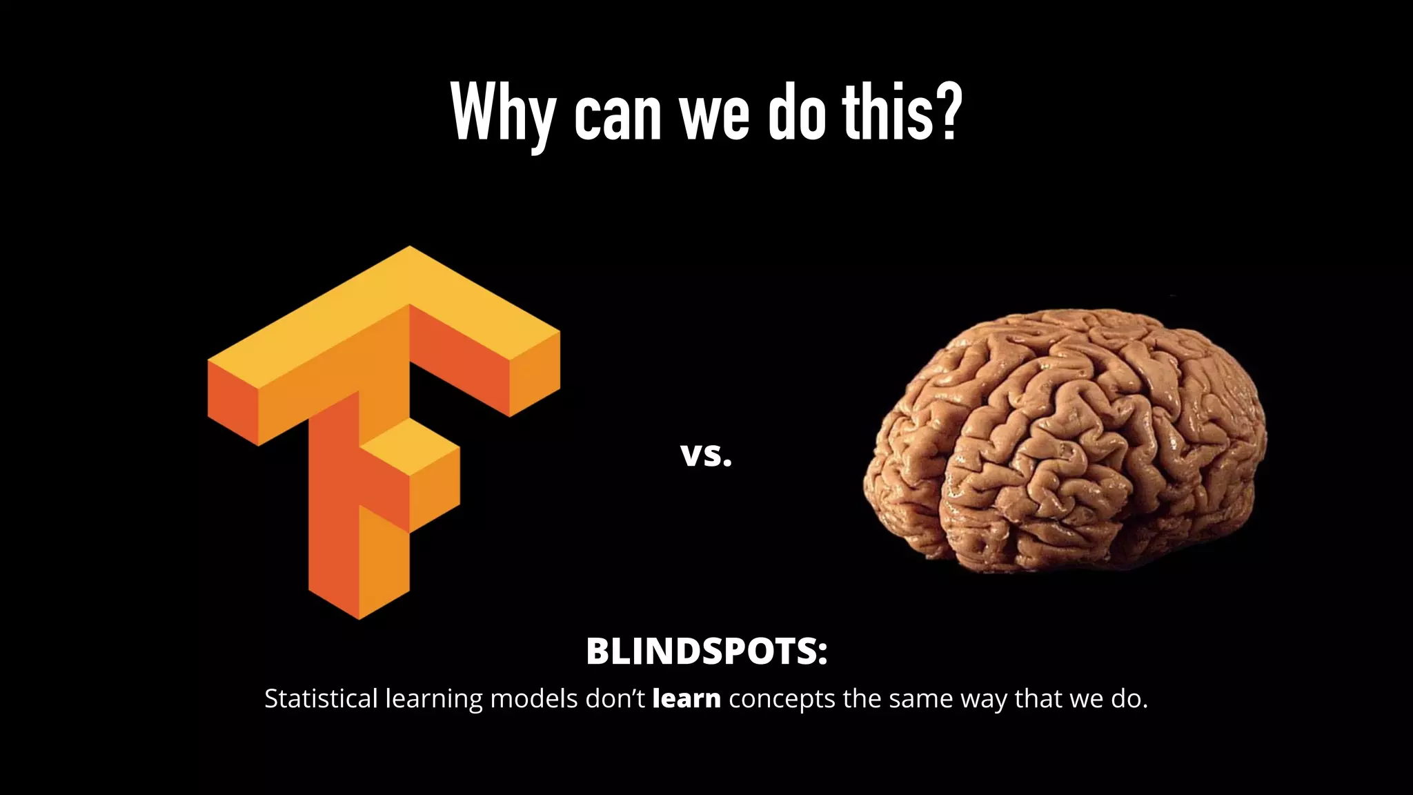 Why can we do this?
vs.
Statistical learning models don’t learn concepts the same way that we do.
BLINDSPOTS:
 