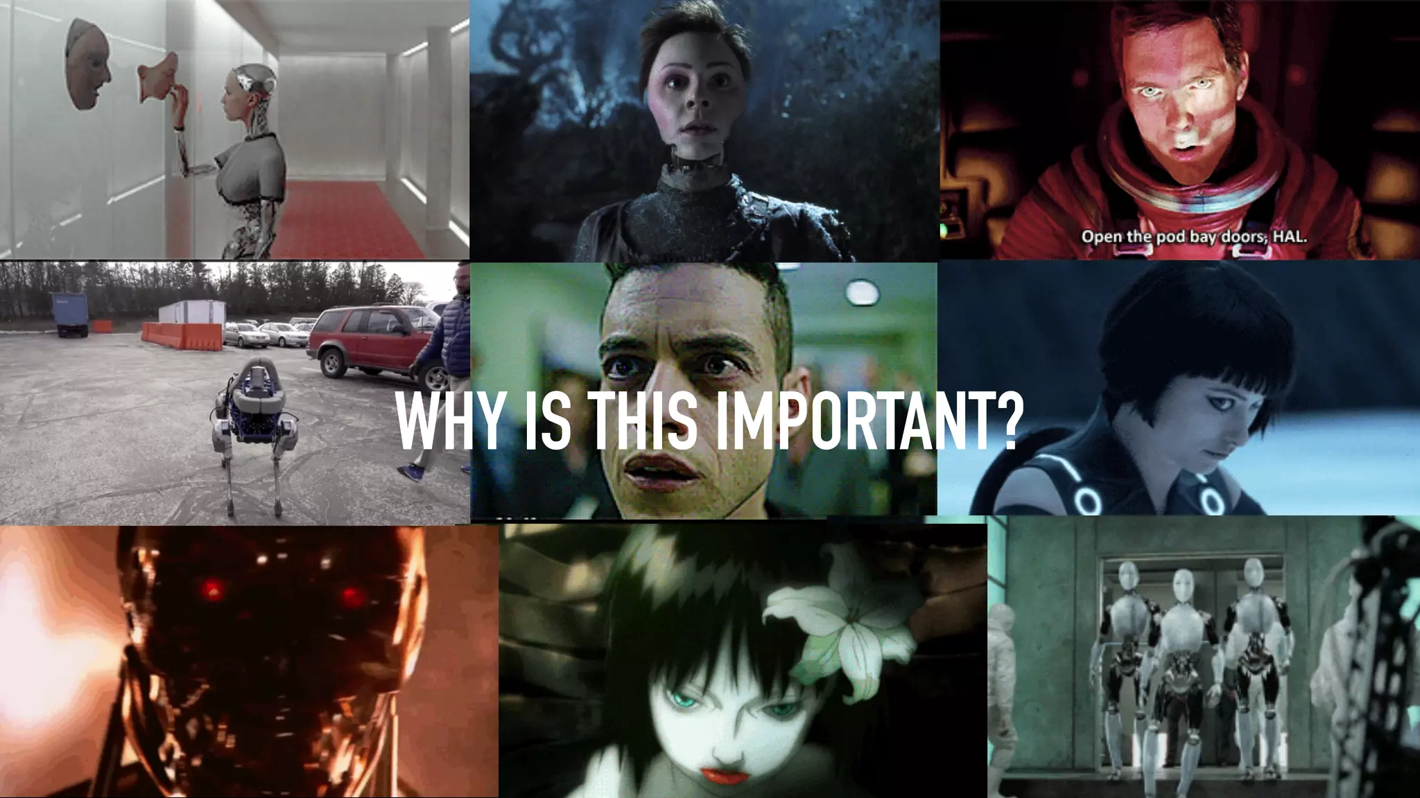 WHY IS THIS IMPORTANT?
 