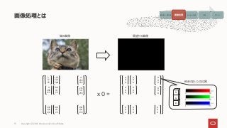 画像処理とは
Copyright © 2021, Oracle and/or its affiliates
13
5
12
25
0
205
129
132
222
200
255
222
201
0
255
255
100
10
25
100
10
25
20
30
255
230
129
255
猫の画像
x 0 =
0
0
0
0
0
0
0
0
0
0
0
0
0
0
0
0
0
0
0
0
0
0
0
0
0
0
0
黒塗りの画像
B
G
R
RGBの[0, 0, 0]は黒
画像データ収集 画像処理 モデルの生成 予測 アクション
画像処理
 