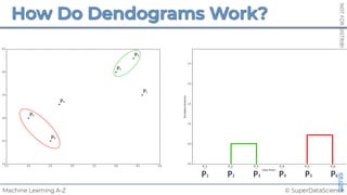 © SuperDataScience
Machine Learning A-Z
NOT
FOR
DISTRIBUTION
©
SUPERDATASCIENCE
www.superdatascience.com
z
P3
P2
P1
P4
P5
P6
P1 P2 P3 P4 P5 P6
 