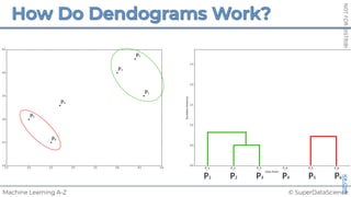 © SuperDataScience
Machine Learning A-Z
NOT
FOR
DISTRIBUTION
©
SUPERDATASCIENCE
www.superdatascience.com
z
P3
P2
P1
P4
P5
P6
P1 P2 P3 P4 P5 P6
 