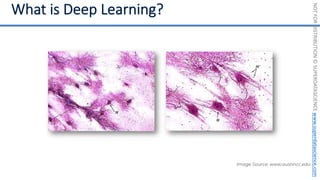 NOT
FOR
DISTRIBUTION
©
SUPERDATASCIENCE
www.superdatascience.com
Image Source: www.austincc.edu
 