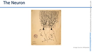 NOT
FOR
DISTRIBUTION
©
SUPERDATASCIENCE
www.superdatascience.com
Image Source: Wikipedia
 