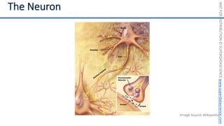 NOT
FOR
DISTRIBUTION
©
SUPERDATASCIENCE
www.superdatascience.com
Image Source: Wikipedia
 