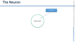 NOT
FOR
DISTRIBUTION
©
SUPERDATASCIENCE
www.superdatascience.com
neuron
Node
 