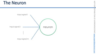 NOT
FOR
DISTRIBUTION
©
SUPERDATASCIENCE
www.superdatascience.com
Input signal 1
Input signal 2
Input signal m
neuron
 
