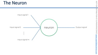 NOT
FOR
DISTRIBUTION
©
SUPERDATASCIENCE
www.superdatascience.com
Input signal 1
Input signal 2
Input signal m
Output signal
neuron
 