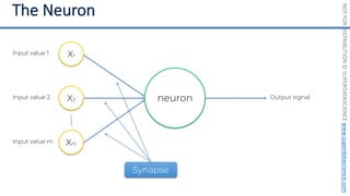 NOT
FOR
DISTRIBUTION
©
SUPERDATASCIENCE
www.superdatascience.com
neuron
Input value 1
Input value 2
Input value m
X1
X2
Xm
Output signal
Synapse
 