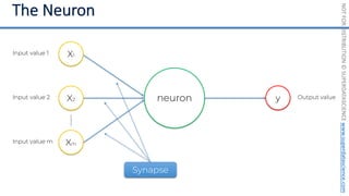 NOT
FOR
DISTRIBUTION
©
SUPERDATASCIENCE
www.superdatascience.com
neuron
Input value 1
Input value 2
Input value m
X1
X2
Xm
y Output value
Synapse
 