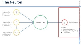 NOT
FOR
DISTRIBUTION
©
SUPERDATASCIENCE
www.superdatascience.com
neuron
Input value 1
Input value 2
Input value m
Output value
X1
X2
Xm
y Output value
Can be:
• Continuous (price)
• Binary (will exit yes/no)
• Categorical
Independent
variable 1
Independent
variable 2
Independent
variable m
 