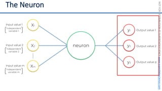 NOT
FOR
DISTRIBUTION
©
SUPERDATASCIENCE
www.superdatascience.com
neuron
Input value 1
Input value 2
Input value m
Output value 1
Output value 2
Output value p
X1
X2
Xm
y
y2
y1
y3
Independent
variable 1
Independent
variable 2
Independent
variable m
 
