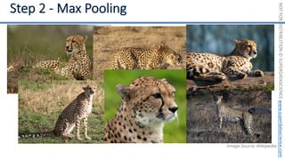 NOT
FOR
DISTRIBUTION
©
SUPERDATASCIENCE
www.superdatascience.com
Image Source: Wikipedia
 