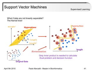 Support Vector Machines Supervised Learning Only Inner product is needed to calculate Dual problem and decision function   Hypersurface Kernelization Hyperplane What if data are not linearly separable? The Kernel trick! weight 2 length 2 weight * length length Original Data 