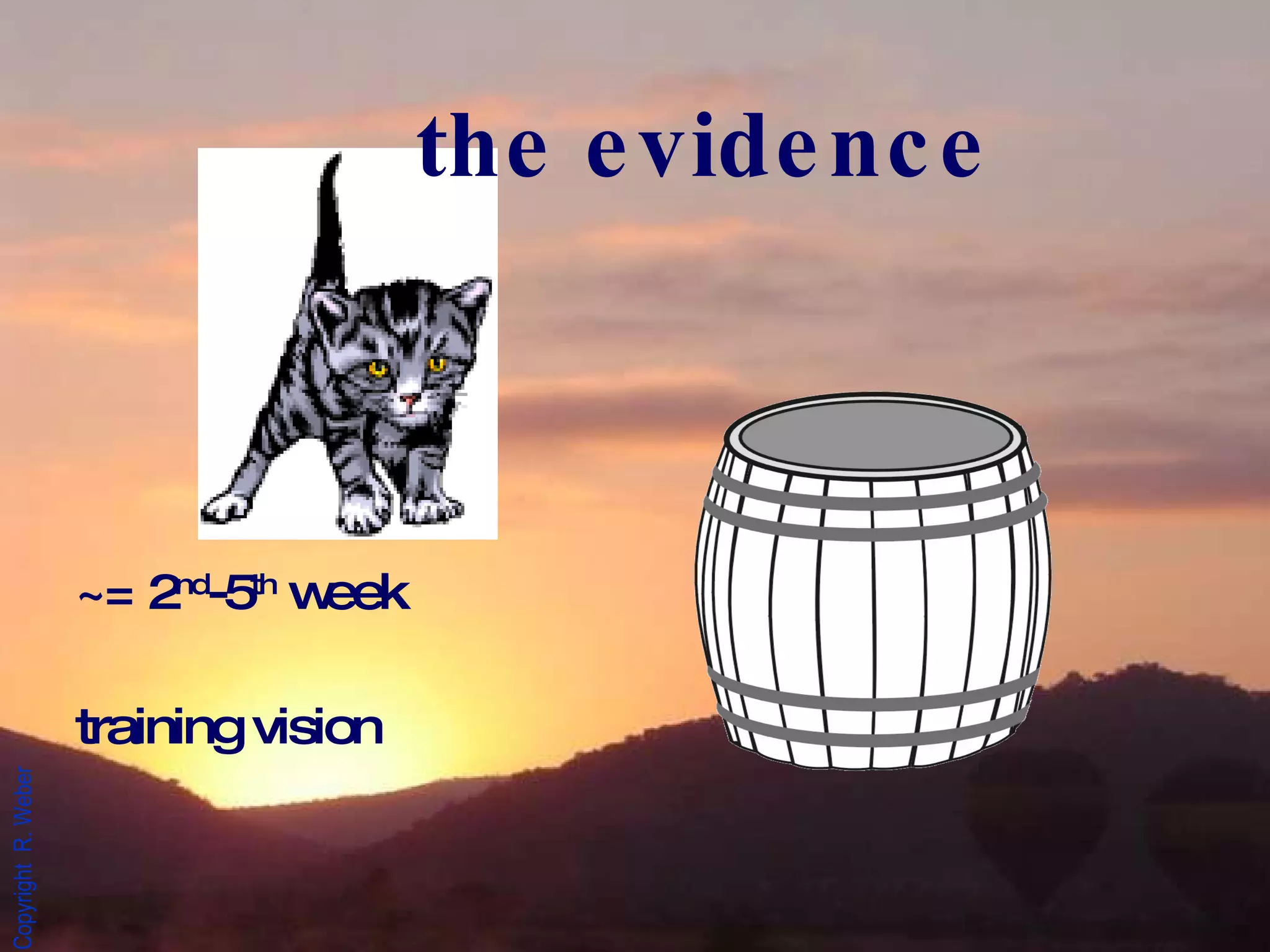 ~= 2 nd -5 th  week training vision the evidence 