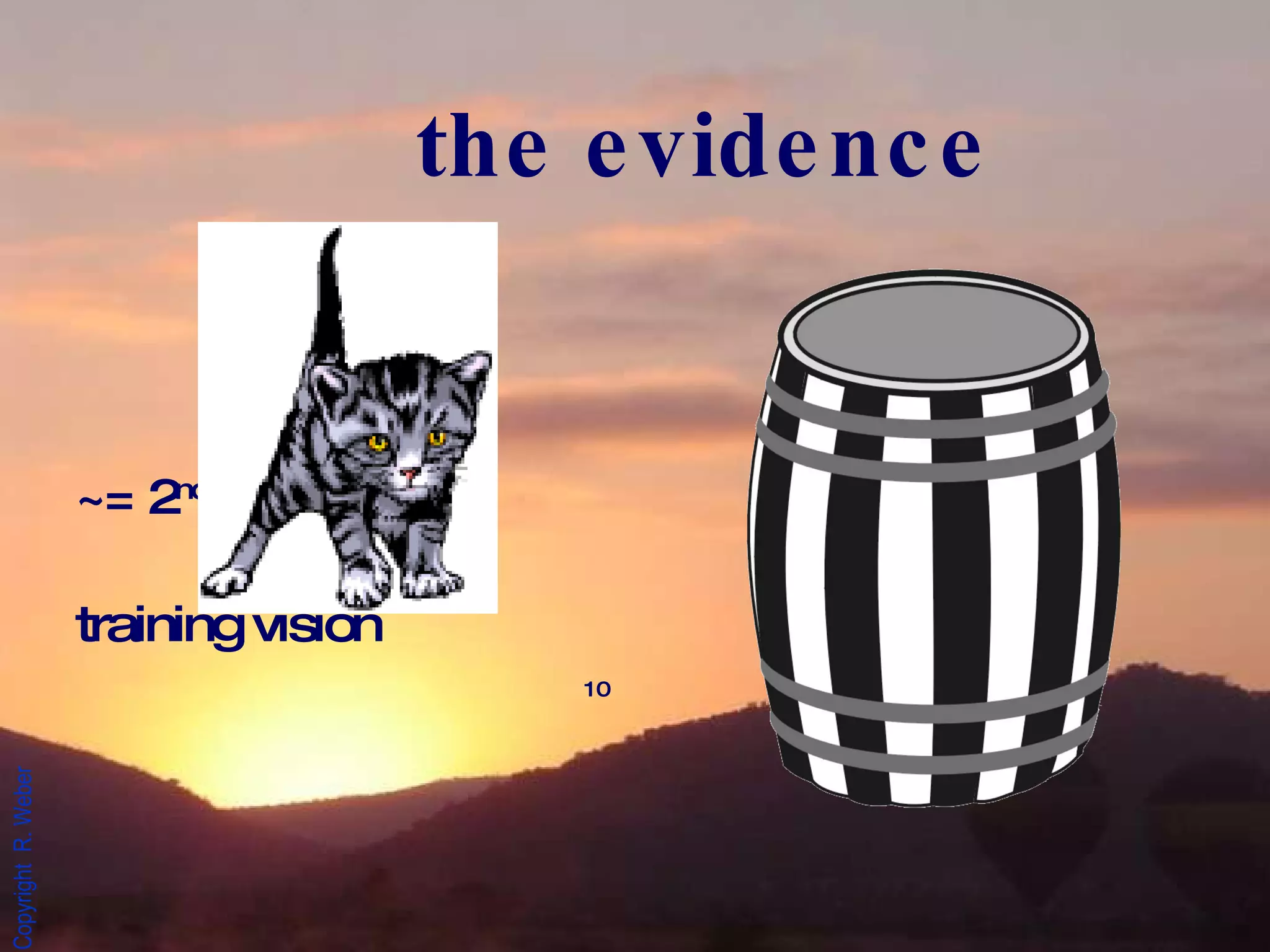 the evidence ~= 2 nd -5 th  week training vision 10 