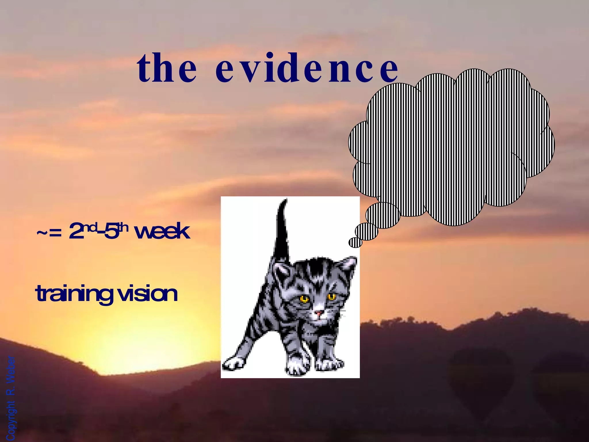 the evidence ~= 2 nd -5 th  week training vision 