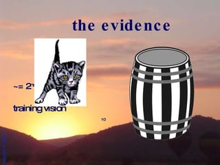 the evidence ~= 2 nd -5 th  week training vision 10 