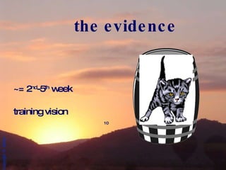 the evidence ~= 2 nd -5 th  week training vision 10 