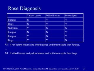 Rose Diagnosis R1:  If not yellow leaves and wilted leaves and brown spots then fungus. … R6:  If wilted leaves and yellow...
