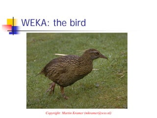 WEKA: the bird




     Copyright: Martin Kramer (mkramer@wxs.nl)
 
