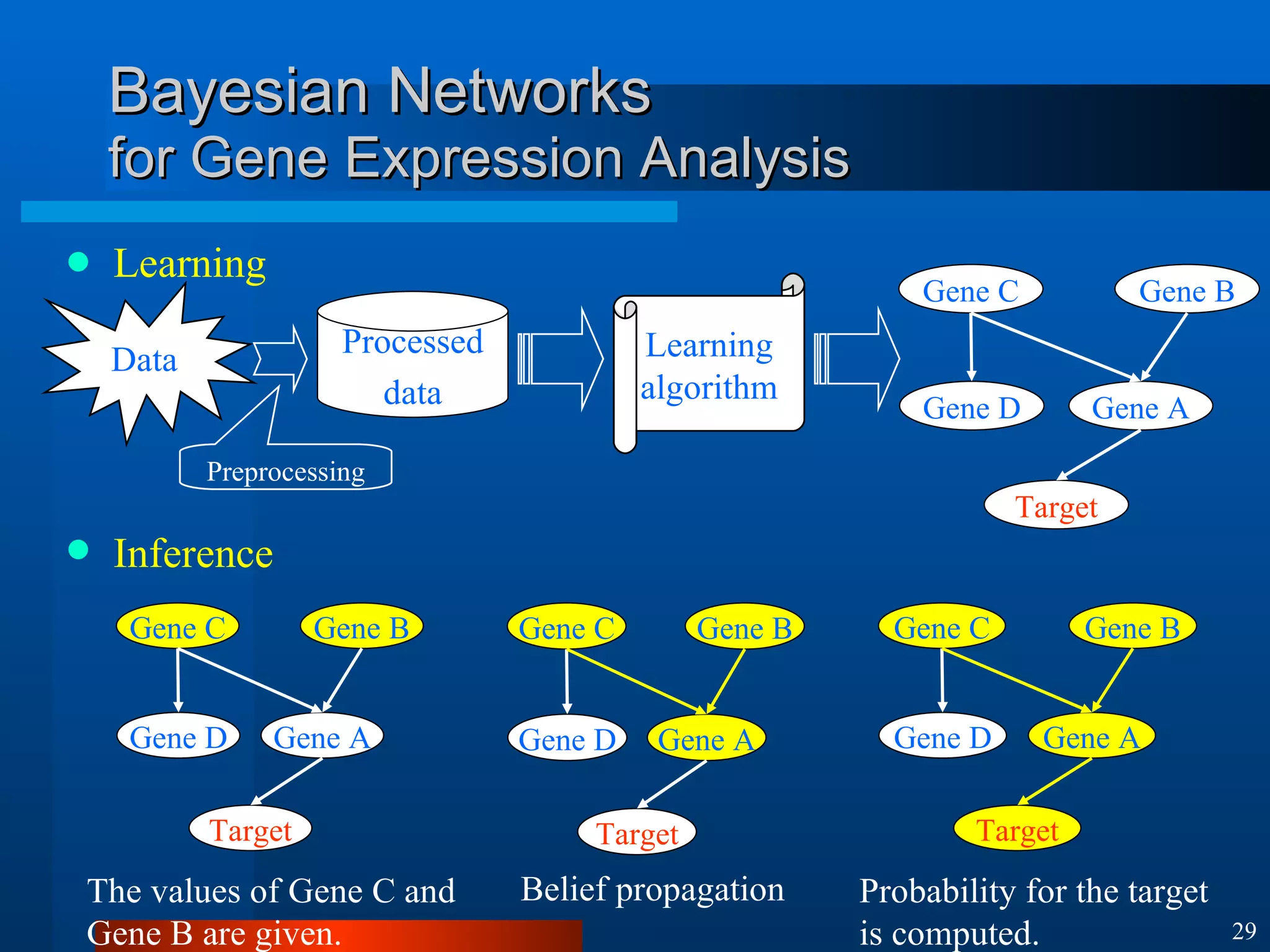 Bayesian Networks for Gene Expression Analysis Learning Inference Processed data Data Preprocessing Learning algorithm Gene C Gene B Gene A Target Gene D Gene C Gene B Gene A Target Gene D Gene C Gene B Gene A Target Gene D Gene C Gene B Gene A Target Gene D The values of Gene C and Gene B are given. Belief propagation Probability for the target is computed. 