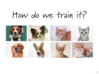 How do we train it?
23	

 