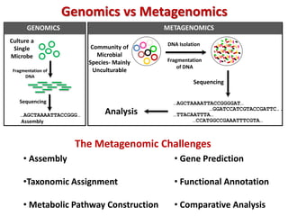 Genomics vs Metagenomics
…GGATCCATCGTACCGATTC..
…TTACAATTTA…
…CCATGGCCGAAATTTCGTA…
…AGCTAAAATTACCGGGGAT…
Community of
Microbial
Species- Mainly
Unculturable
Fragmentation
of DNA
Sequencing
Analysis
Culture a
Single
Microbe
Fragmentation of
DNA
Sequencing
…AGCTAAAATTACCGGG…
GENOMICS METAGENOMICS
The Metagenomic Challenges
• Assembly
•Taxonomic Assignment
• Metabolic Pathway Construction
• Gene Prediction
• Functional Annotation
• Comparative Analysis
Assembly
DNA Isolation
 