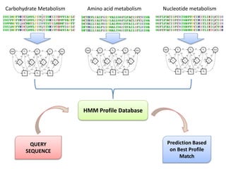 Carbohydrate Metabolism Amino acid metabolism Nucleotide metabolism
HMM Profile Database
QUERY
SEQUENCE
Prediction Based
on Best Profile
Match
 