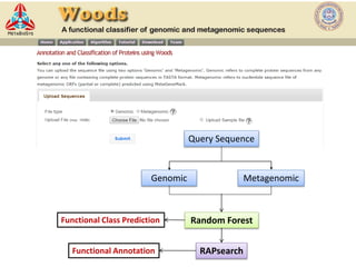 Stand alone server
Query Sequence
Genomic Metagenomic
Random Forest
RAPsearch
Functional Class Prediction
Functional Annotation
 