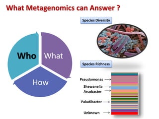 What
How
Who
Species Diversity
What Metagenomics can Answer ?
Arcobacter
Paludibacter
Shewanella
Pseudomonas
Unknown
Species Richness
 