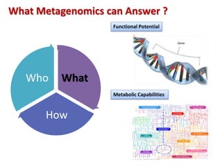 What
How
Who
Metabolic Capabilities
Functional Potential
What Metagenomics can Answer ?
 