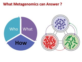 What
How
Who
What Metagenomics can Answer ?
 