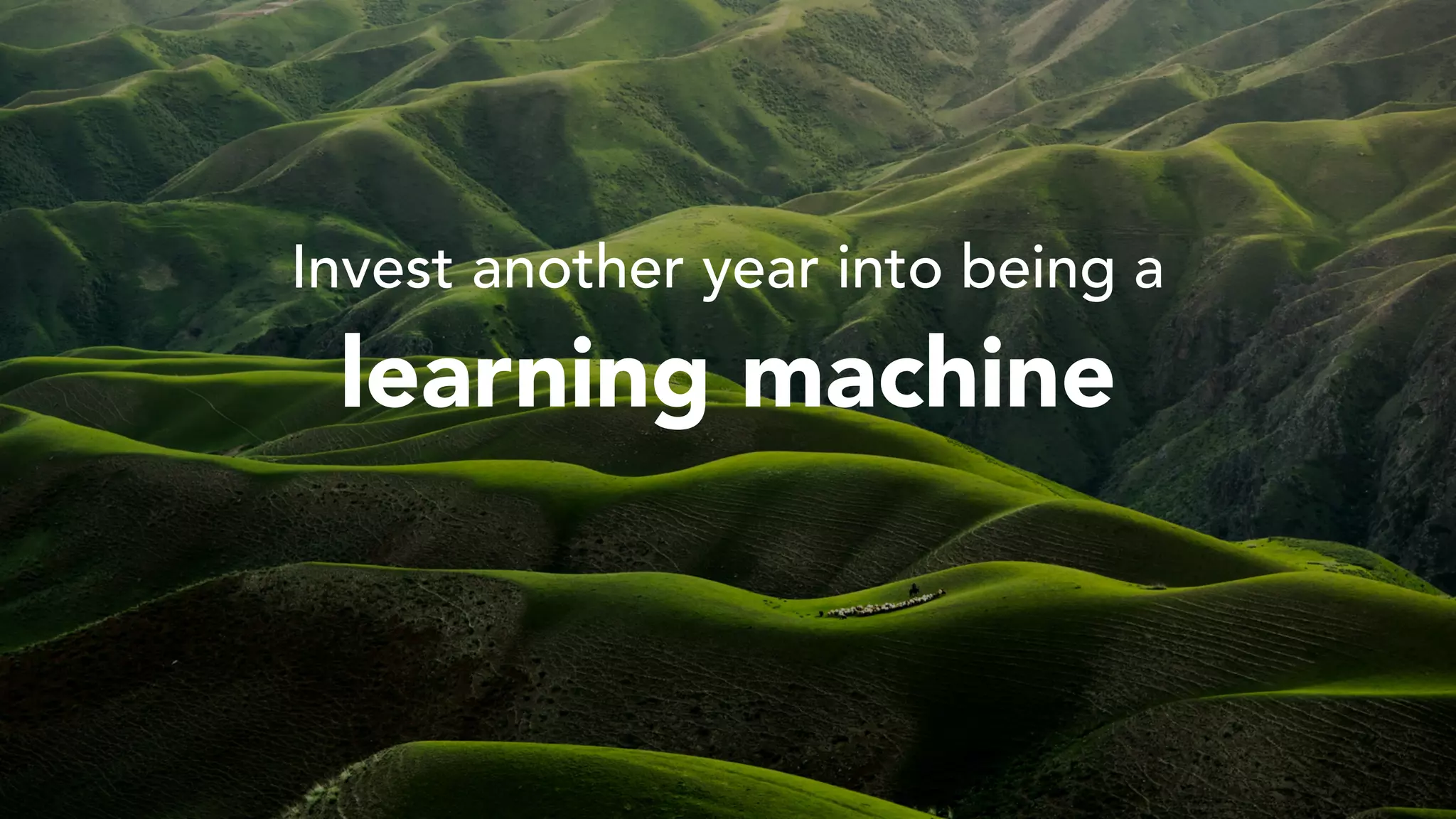 Invest another year into being a
learning machine
 