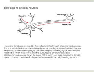 Biological to artificial neurons
Incoming signals are received by the cell's dendrites through a biochemical process.
The process allows the impulse to be weighted according to its relative importance or
frequency. As the cell body begins accumulating the incoming signals, a threshold is
reached at which the cell fires and the output signal is transmitted via an
electrochemical process down the axon. At the axon's terminals, the electric signal is
again processed as a chemical signal to be passed to the neighbouring neurons.
 