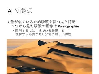 AI の弱点
• 色が似ているため砂漠を裸の人と認識
⇒ AI から見た砂漠の画像は Pornographie
• 区別するには「裸でいる状況」を
理解する必要があり非常に難しい課題
 