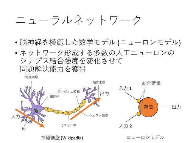 ランヴィエの絞輪 Node of Ranvier JapaneseClass.jp