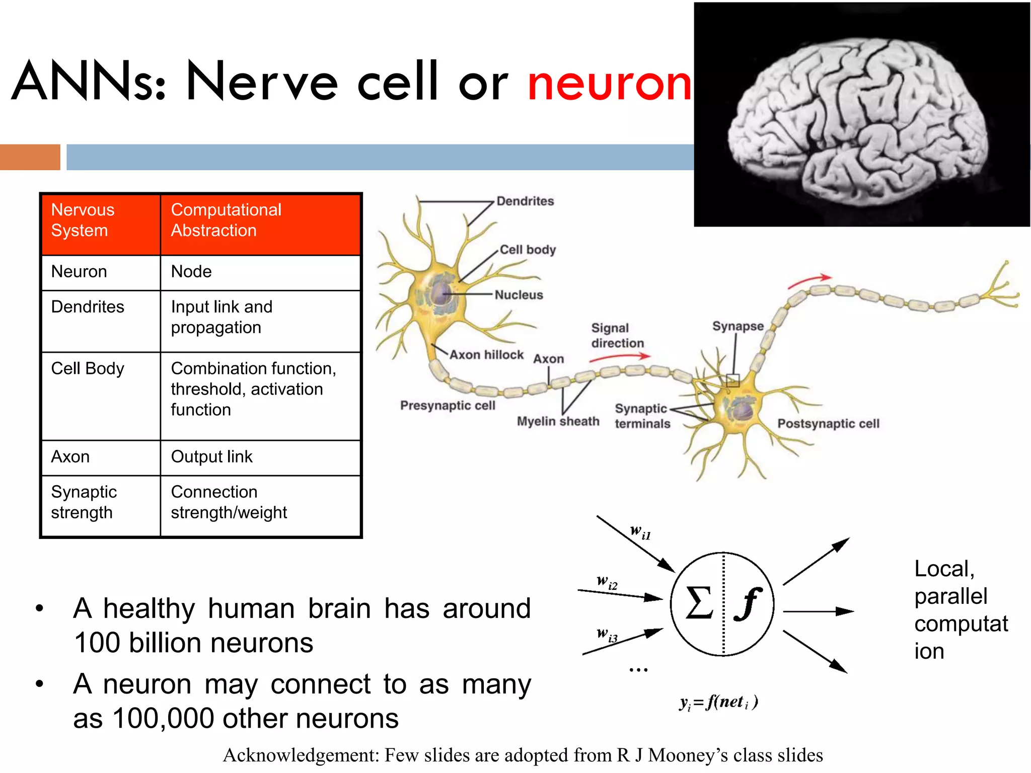ANNs: Nerve cell or neuron
• A healthy human brain has around
100 billion neurons
• A neuron may connect to as many
as 100,000 other neurons
Nervous
System
Computational
Abstraction
Neuron Node
Dendrites Input link and
propagation
Cell Body Combination function,
threshold, activation
function
Axon Output link
Synaptic
strength
Connection
strength/weight
Local,
parallel
computat
ion
Acknowledgement: Few slides are adopted from R J Mooney’s class slides
 