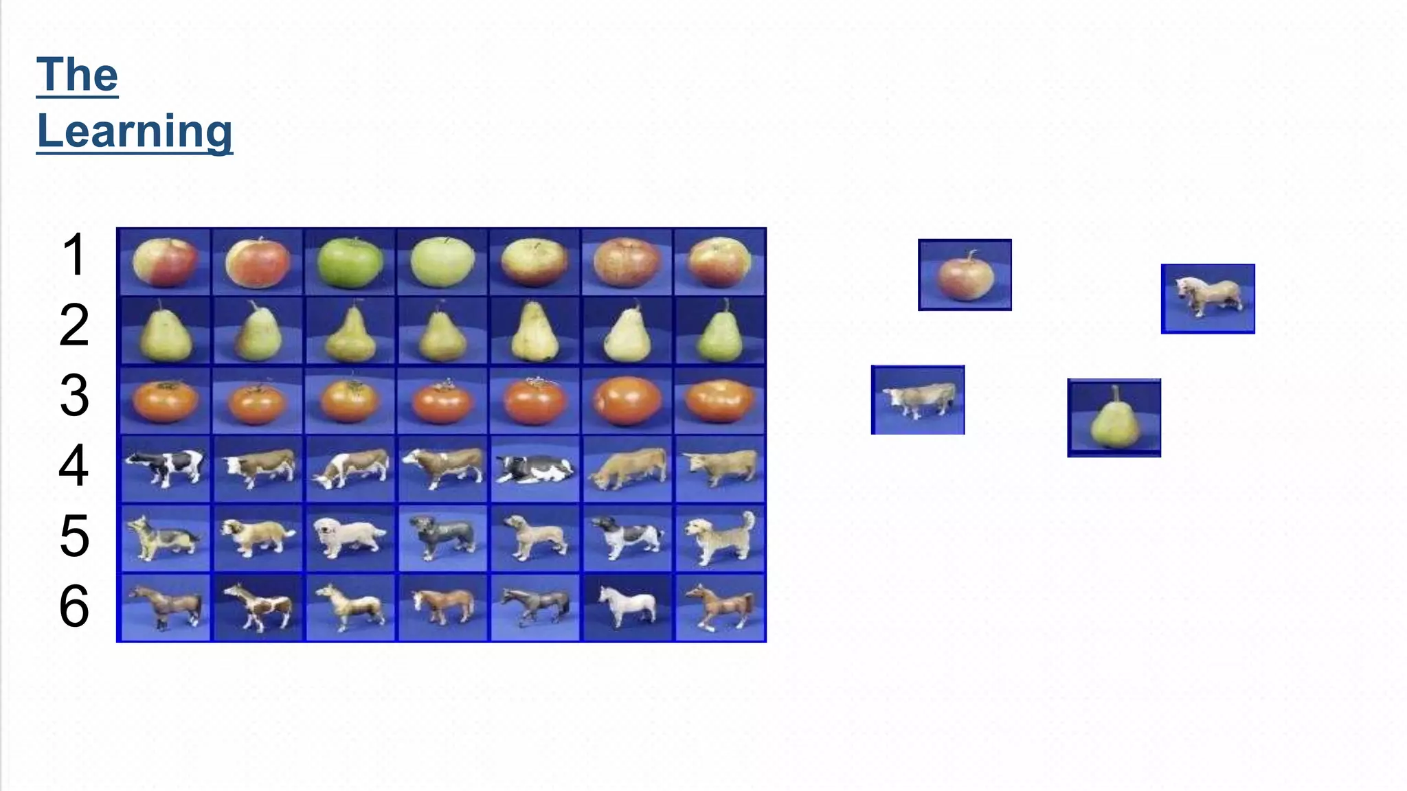 The
Learning
1
2
3
4
5
6
 